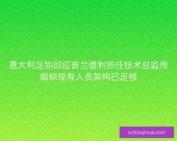 意大利足协回应普兰德利担任技术总监传闻称现有人员架构已足够